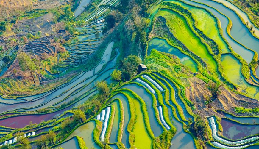 宝妈必备神器：西岗区产品视频拍摄轻松育儿好帮手